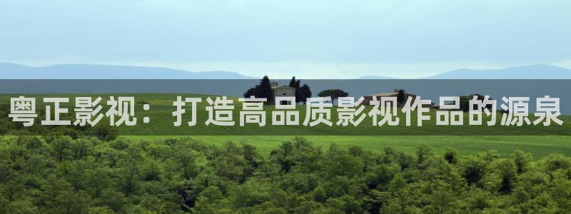 飘雪影院免费观看短剧：粤正影视：打造高品质影视作品的源泉