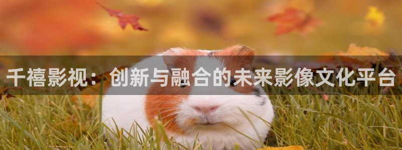 飘雪影院手机免费观看免费下载：千禧影视：创新与融合的未来影像文化平台
