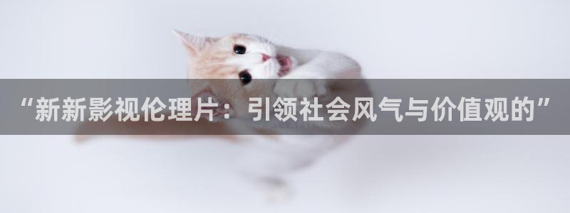 飘雪影视电影网：“新新影视伦理片：引领社会风气与价值观的”